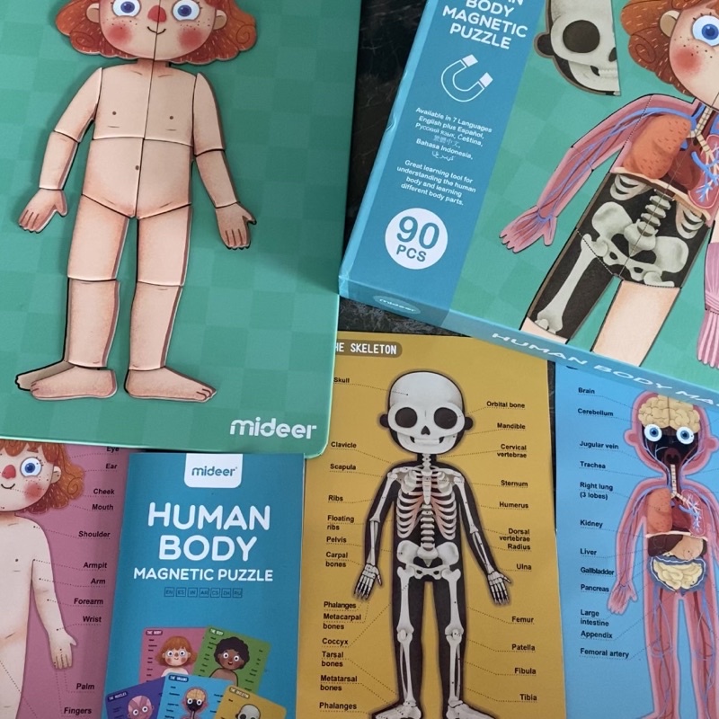 Đồ Chơi Ghép Hình Nam Châm Mideer Human Body Magnetic Puzzle, Đồ chơi bác sĩ cho bé 4,5,6,7 Tuổi
