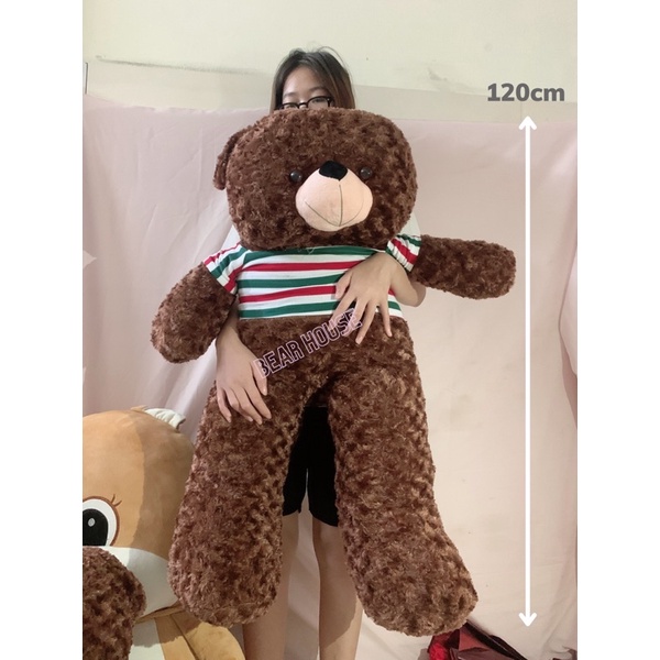 GẤU BÔNG TEDDY LÔNG XOẮN CAO CẤP SIZE 1m, 1m2 hàng VNXK