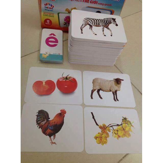 Thẻ Học Thông Minh,Thẻ FlashCard Chủ Đề Rau Củ Quả Có Chữ Tiếng Anh Cho Bé