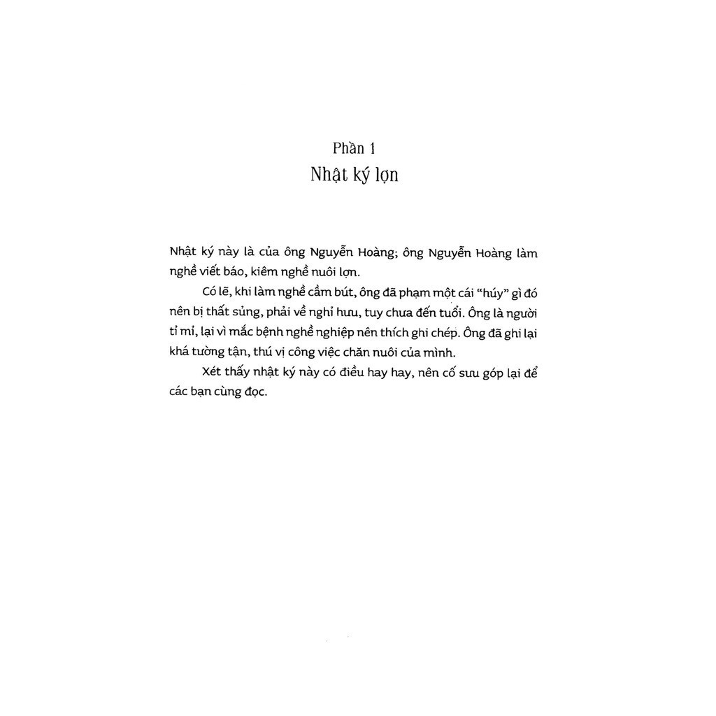 Sách Văn Học Việt Nam Đương Đại - Chuyện Ngõ Nghèo