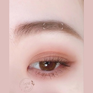Phấn mắt Canmake Perfect Multy Eyes 05