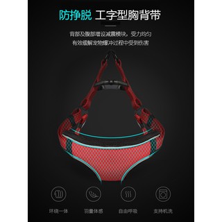 Dây xích và yếm ngực dắt chó