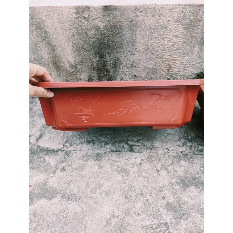 Ang nhựa trồng cây bonsai đủ kích thước