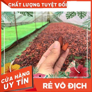Bột cacao Đăk lăk 500g