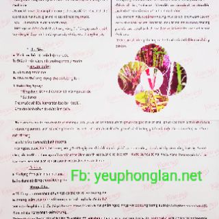 Bộ kích Kie Duy xanh và đỏ