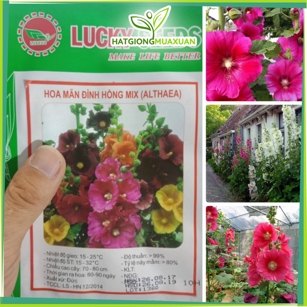 Bán buôn Hạt Giống Hoa Mãn Đỉnh Hồng Đơn Mix bao đẹp