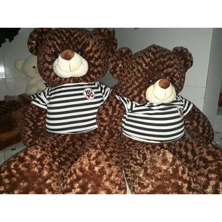 Gấu teddy màu nâu áo sọc trắng đen khổ 1m4