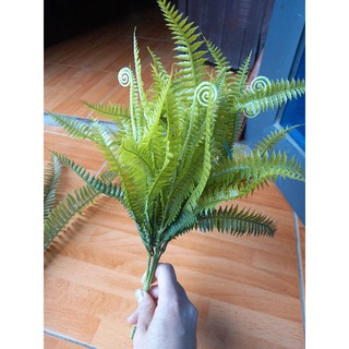 Cây giả - cụm dương sỉ nhiều lá