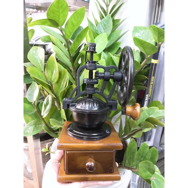 Cối xay tiêu độc lạ  IN -NT