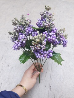 Hoa điểm 1 bụi hoa bi xốp