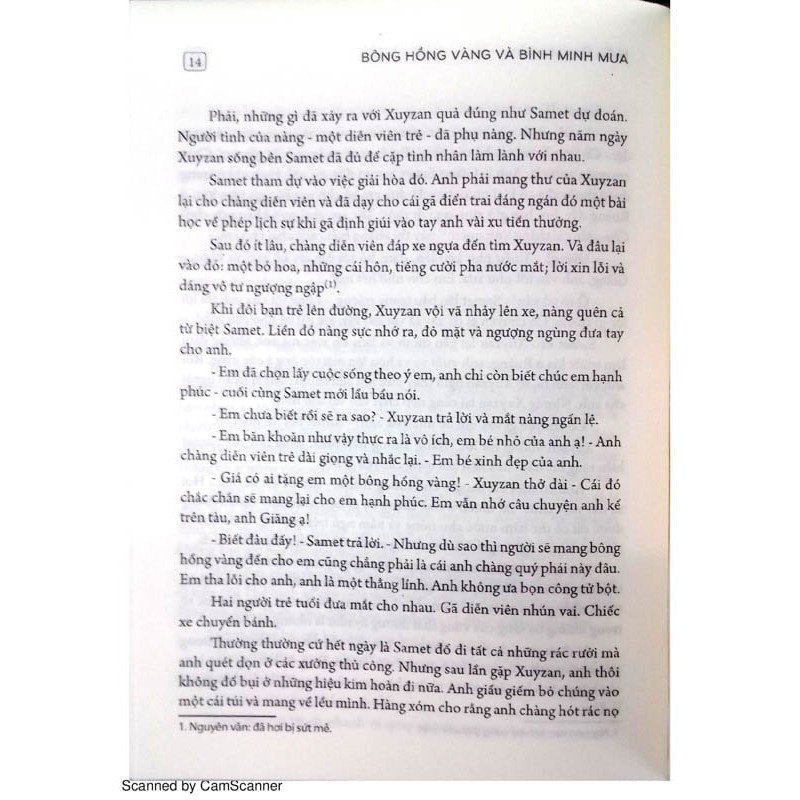 Sách: Bông Hồng Vàng Và Bình Minh Mưa B113