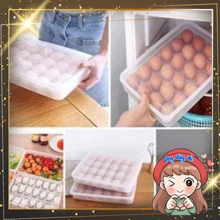 Khay đựng trứng Việt Nhật