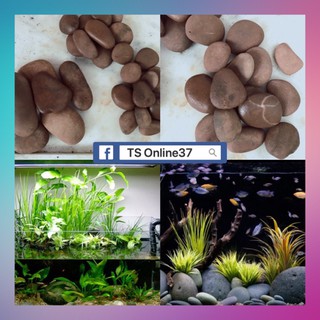 Đá Cuội Nâu - Sỏi Cuội Trang trí - Bể Cá Bể thuỷ sinh - [ Xưởng Thủy Sinh TS Online37 ]
