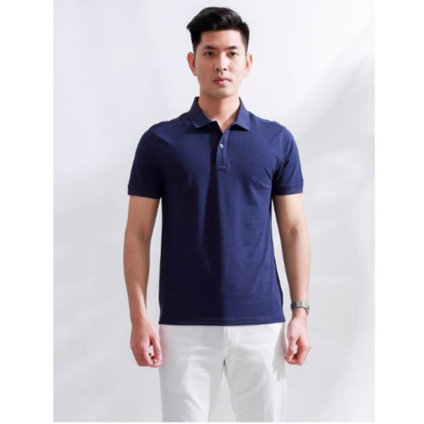 Áo Polo Nam Cao Cấp Aristino APS026S8 3 Màu Sang Trọng Lịch Sự