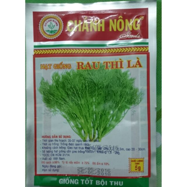 Rau Thì Là