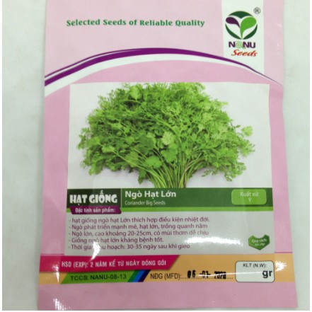 HẠT GIỐNG NGÒ HẠT LỚN Ngò Đỏ Mùi ta - 20gr.