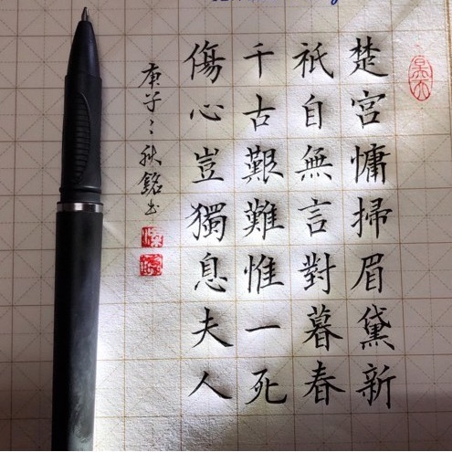 Bút Gel viết chữ Han, luyện viết tiếng trung luyện thư pháp bút odemei GP-9935 ngòi 0.7mm