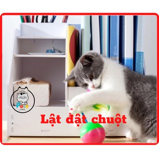 Đồ chơi cho mèo bóng lật đật cho mèo