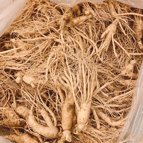 99k 1 củ sâm Hàn Quốc hầm gà | BigBuy360 - bigbuy360.vn