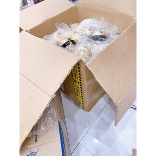 kem dưỡng đông y nhân sâm handmade