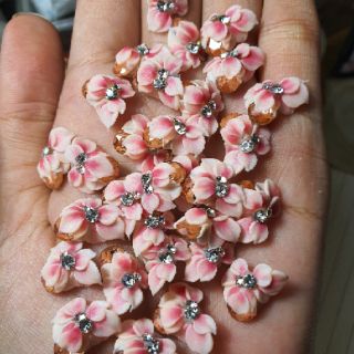 Hoa bột ôm đá khối