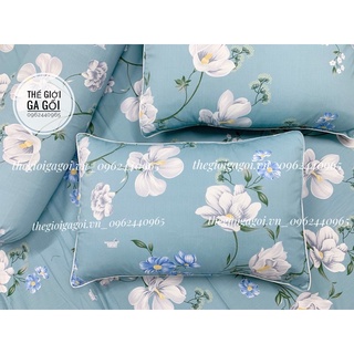 Bộ Drap {4 món} Cotton Thắng Lợi chuẩn logo