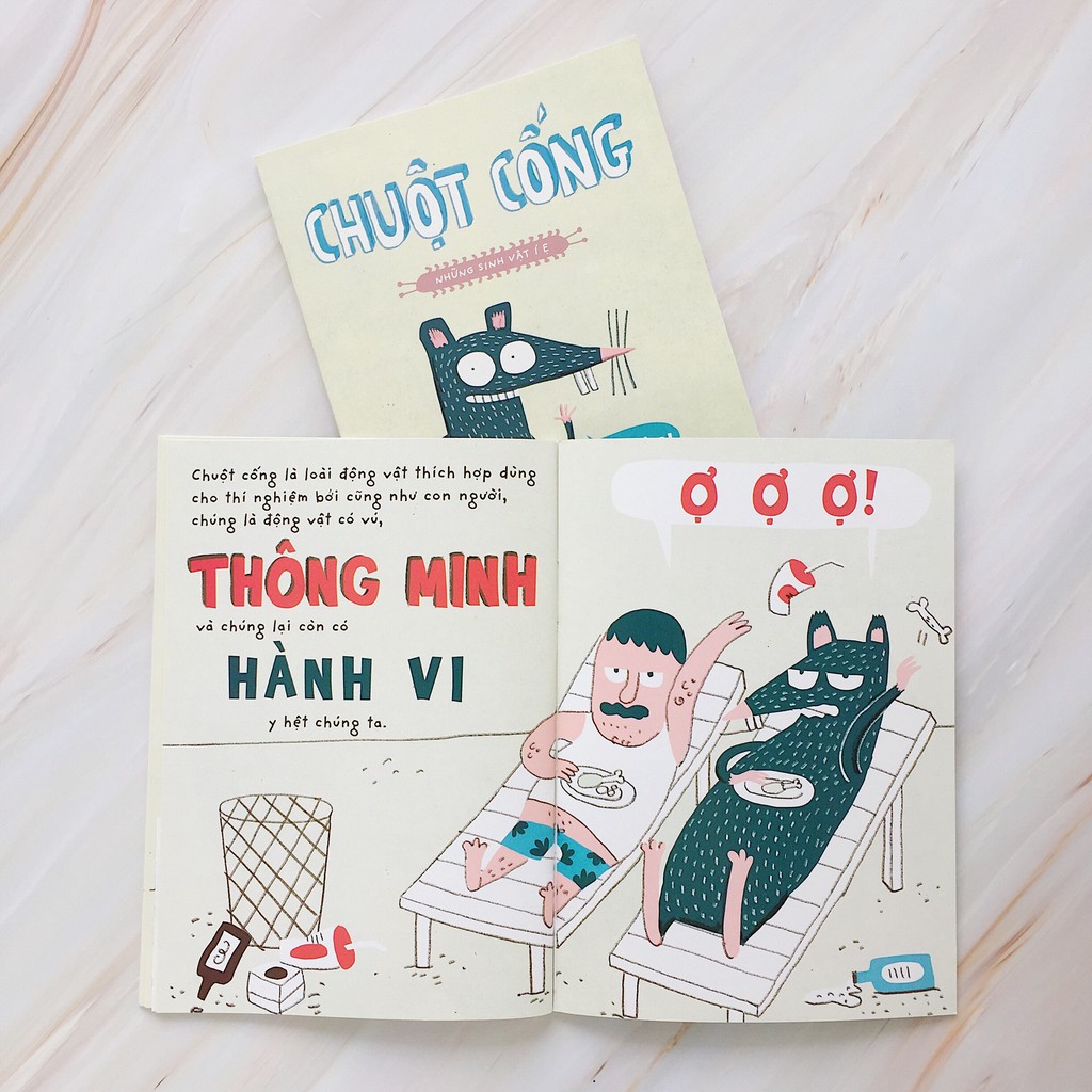 Sách - Những sinh vật í ẹ - Chuột cống - Nhận biết con vật cho bé - Khoa học vui nhộn - Crabit Kidbooks