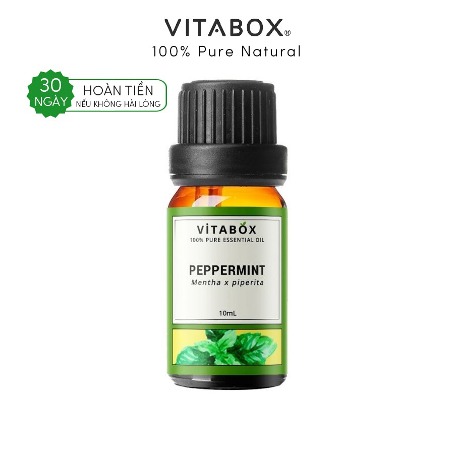 Tinh Dầu Bạc Hà (Peppermint) - 100% Thiên Nhiên Nguyên Chất - Vitabox Natural Essential Oil