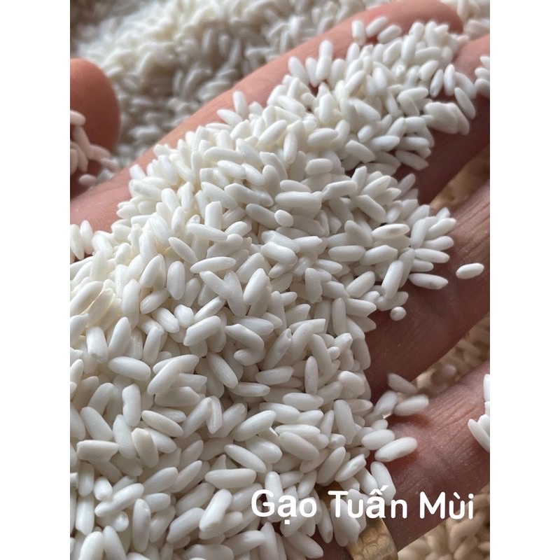 Nếp Ngỗng Dẻo Thơm Bao 5 Ký