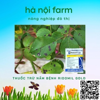 Ridomil Gold 68WP( Đặc trị thối nhũn Nấm bệnh cây trồng ) gói 100g