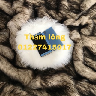 Combo Thảm lông chụp hình giày dép