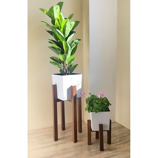 Combo 6 chậu sen đá KT 15*15*15 và 1 đôn gỗ bo vuông đặt chậu cây cảnh I Decor phòng khách, bàn làm việc