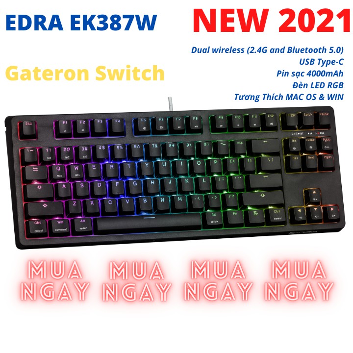 SẢN PHẨM MỚI - Bàn Phím Cơ không dây EDRA EK387W GATERON Switch Chính Hãng - Bluetooth 5.0 LED RGB Type C - EDRAshop