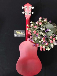 Ukulele