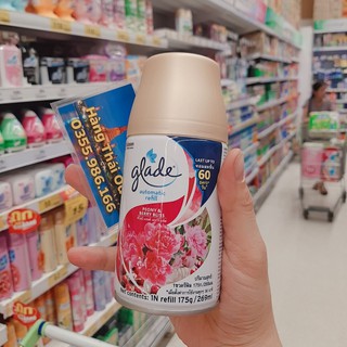 Lõi ( Bình ) xịt thơm phòng tự động Glade ( Hàng Big C Thái Lan )