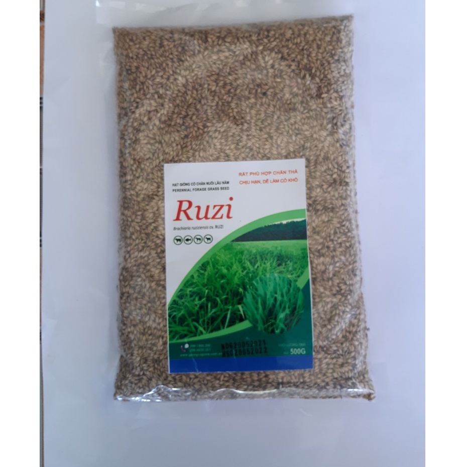 (500g), Giống cỏ Ruzi, Giống cỏ chăn nuôi, cỏ chịu dạm đạp, chăn nuôi chăn thả