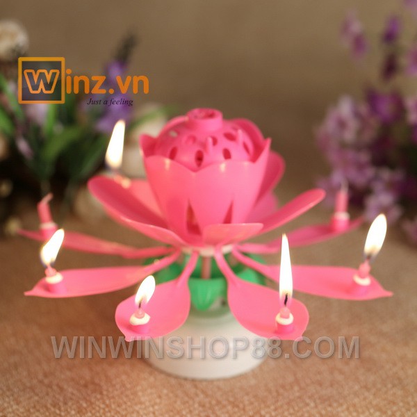 Nến nở hoa và phát nhạc V.2  - muasamhot1208