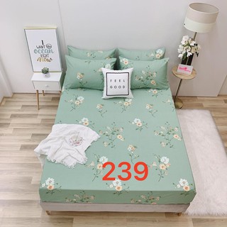 Ga + 2 vg gối nằm + 1 vỏ gối ôm + 2 vg vuông