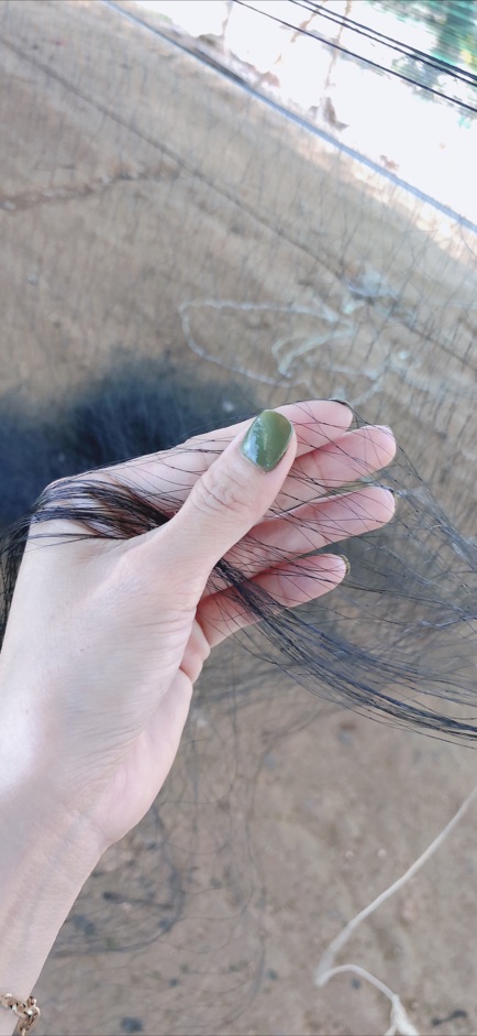 Lưới bẫy chim cu, dẽ giun, vẹt, két. Mắt lưới 8 phân.