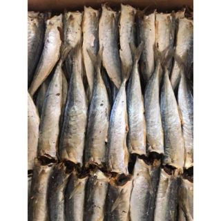 1kg cá nục nhạt loại ngon