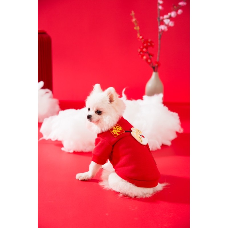 ÁO TẾT 2021 DÀNH CHO THÚ CƯNG