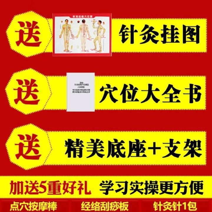 ◇❄Mô Hình Châm Cứu Cơ Thể Người Bằng Đồng Thau Kiểu Trung Hoa