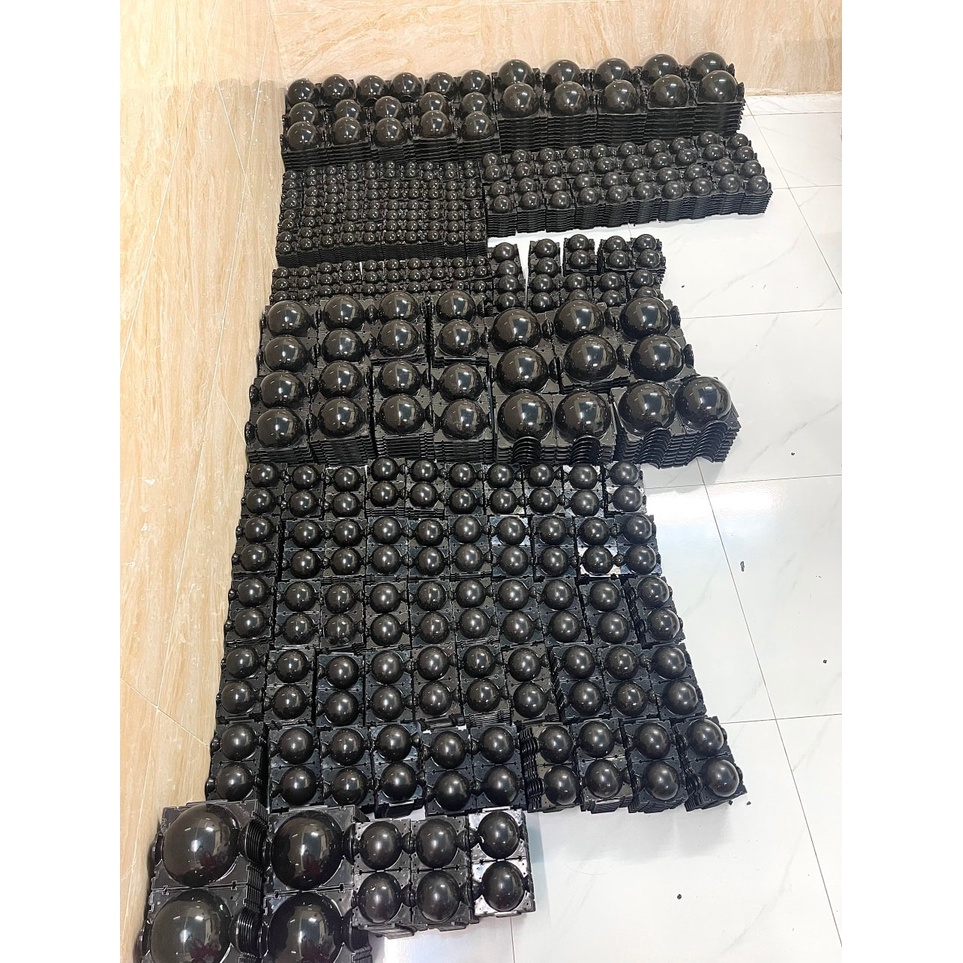 Sỉ bầu chiết cành 4cm 6cm 10cm 12cm