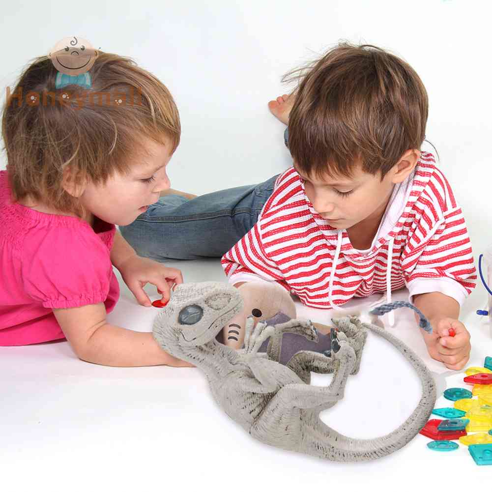 ❀Mô Hình Khủng Long Tyrannosaurus Rex Velociraptor Cho Bé