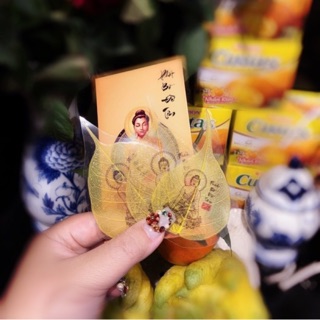 Lá bồ đề bình an ☘️