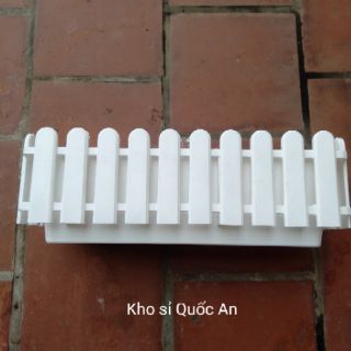 Chậu hàng rào cỡ to