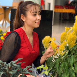 Chậu Nhựa Linh Huệ136