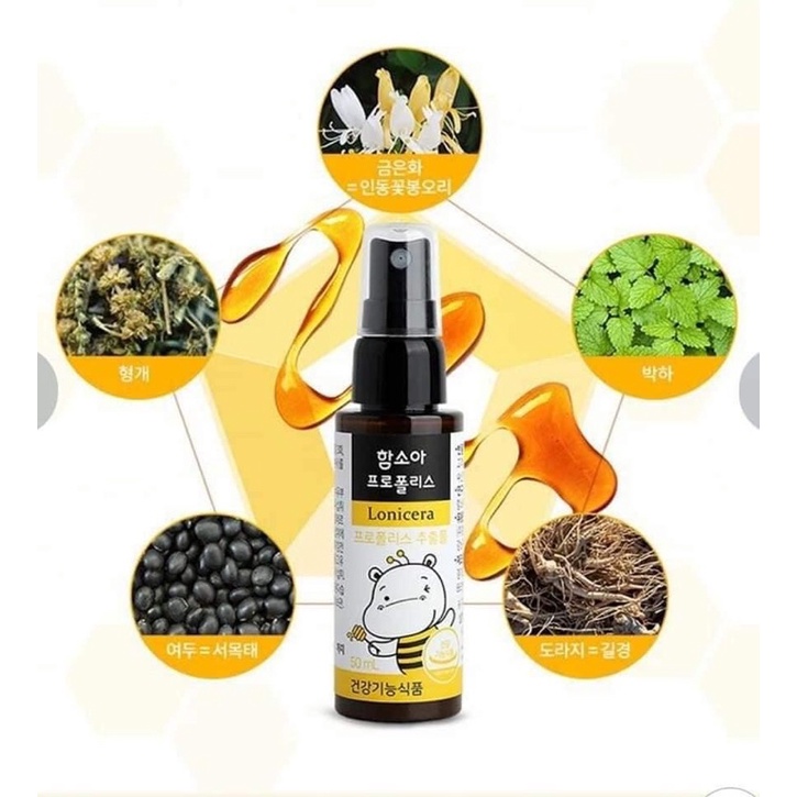 Xịt keo ong Hamsoa nội địa Hàn quốc 50ml