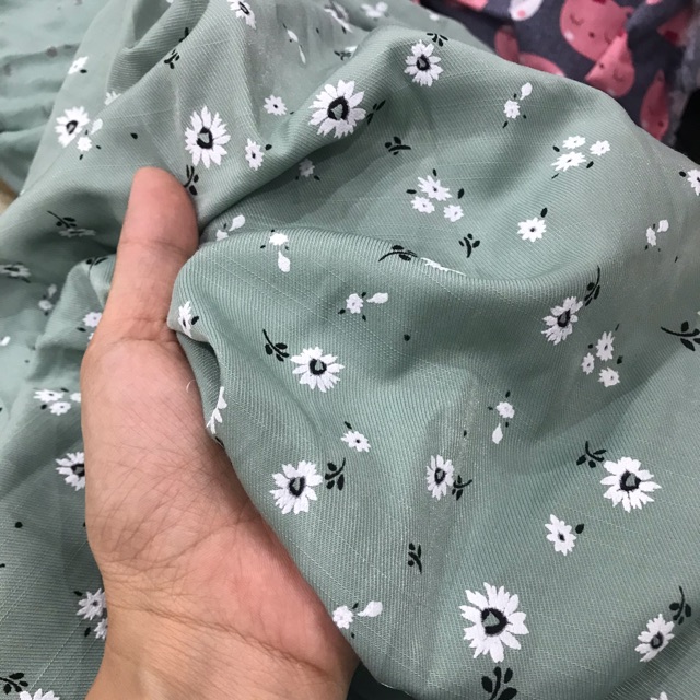 Combo vải my lê