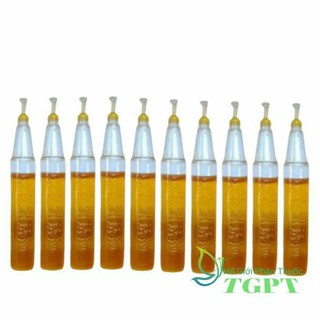 Combo 10 ống dẫn dụ ruồi vàng - tuýp bẫy ruồi vàng - 2ml
